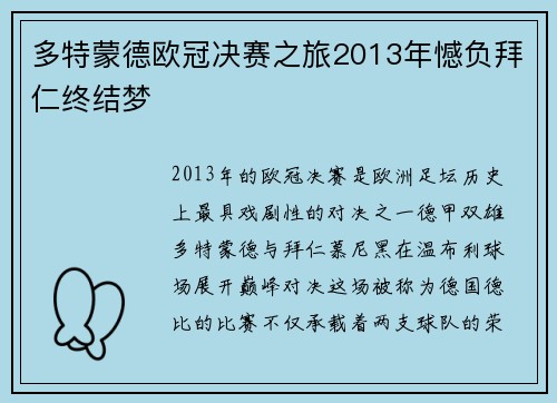 多特蒙德欧冠决赛之旅2013年憾负拜仁终结梦